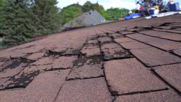 Best Roof Insulation Installation  in Mehlville, MO