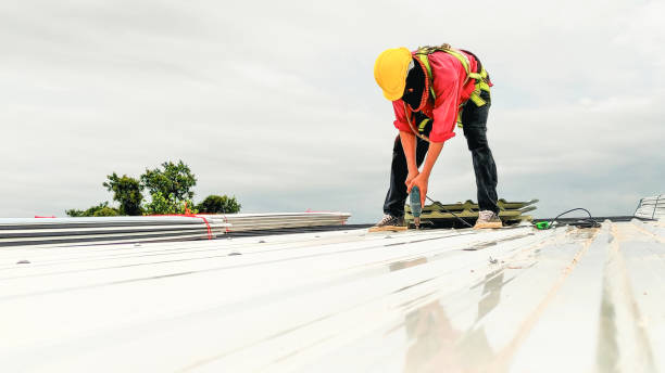 Best Emergency Roof Repair Services  in Mehlville, MO