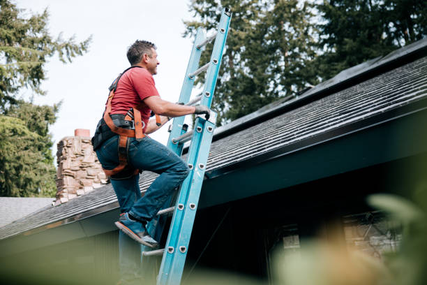 Best Siding  in Mehlville, MO